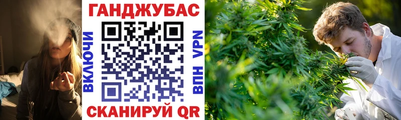 магазин продажи   Сургут  kraken как войти  Конопля гибрид 